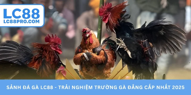Sảnh đá gà LC88